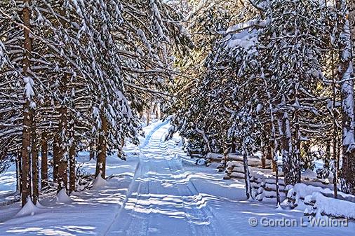 Winter Laneway_32620.jpg - Photographed near Sharbot Lake, Ontario, Canada.